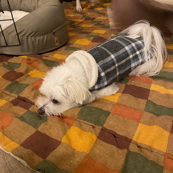 Dog Quilted Coat PDF Sewing Pattern Sizes XXS to 3XL (8 Sizes) Instant ...