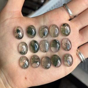 Kate added a photo of their purchase