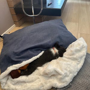 Stacy added a photo of their purchase