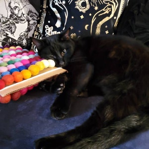 Ophelia added a photo of their purchase