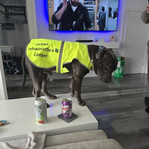 Lynne a ajouté une photo de son achat