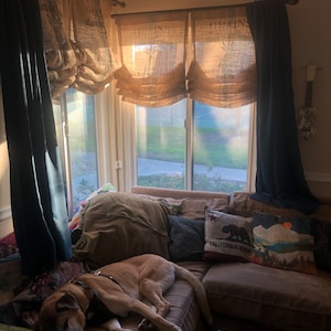 Sara added a photo of their purchase