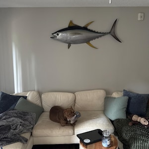 Mason ha añadido una foto de su compra