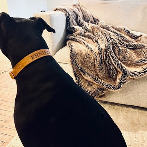 Dailyn ha añadido una foto de su compra