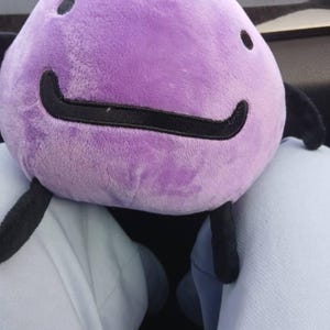 Sara added a photo of their purchase