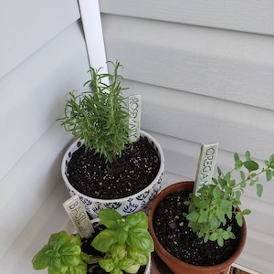 Daley added a photo of their purchase