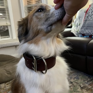 Shelby adicionaram uma foto da sua compra