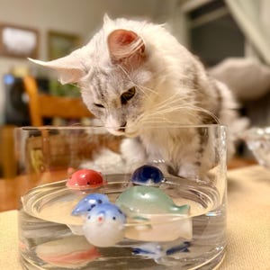 Alina added a photo of their purchase