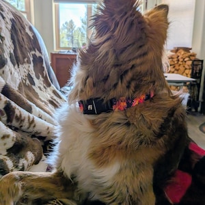 Cali added a photo of their purchase