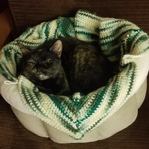 Werecat さんが購入した商品の写真を追加しました