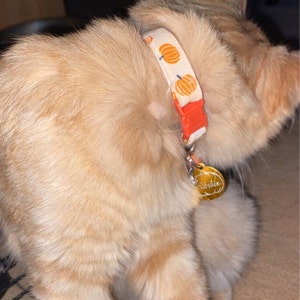 Shelby added a photo of their purchase