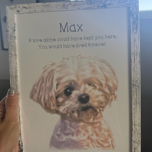 Elise added a photo of their purchase