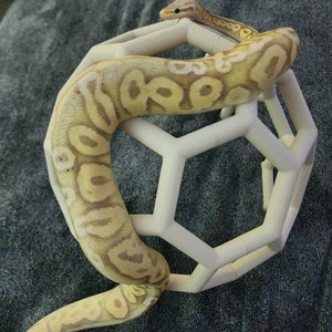 Tanya ha añadido una foto de su compra