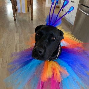 Laurel added a photo of their purchase