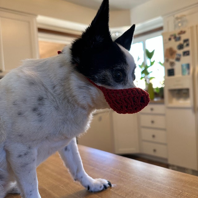 crochet dog muzzle