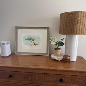 Emily added a photo of their purchase