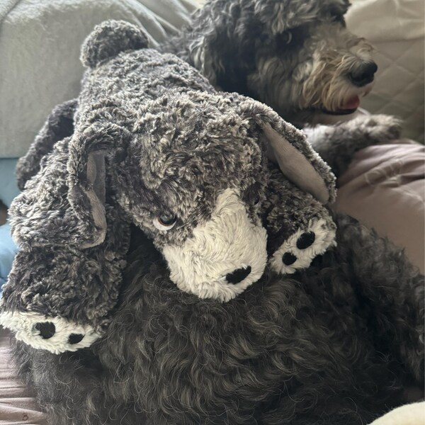 Dr. Seuss Grinch Weihnachtsworte aus Robert Kaufmans How The Grinch