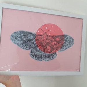 с днем рождения чихуахуа открытка. Смотреть фото с днем рождения чихуахуа открытка. Смотреть картинку с днем рождения чихуахуа открытка. Картинка про с днем рождения чихуахуа открытка. Фото с днем рождения чихуахуа открытка