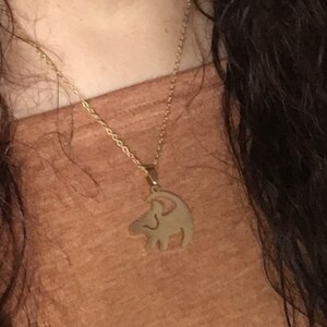 Rosa added a photo of their purchase