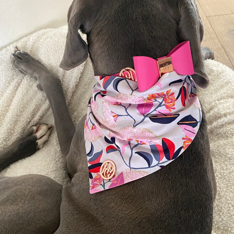 Boutique Luxury Dog Accessories Australia