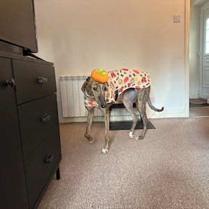 Amy added a photo of their purchase
