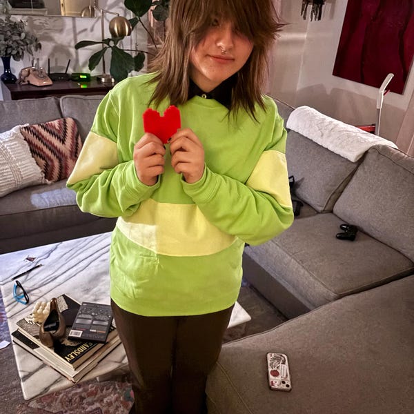 kris-chara-undertale-delta-rune-deltarune-kris-shirt-sweatshirt