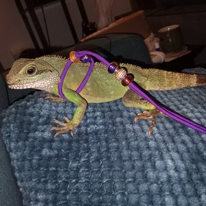 Jackie added a photo of their purchase
