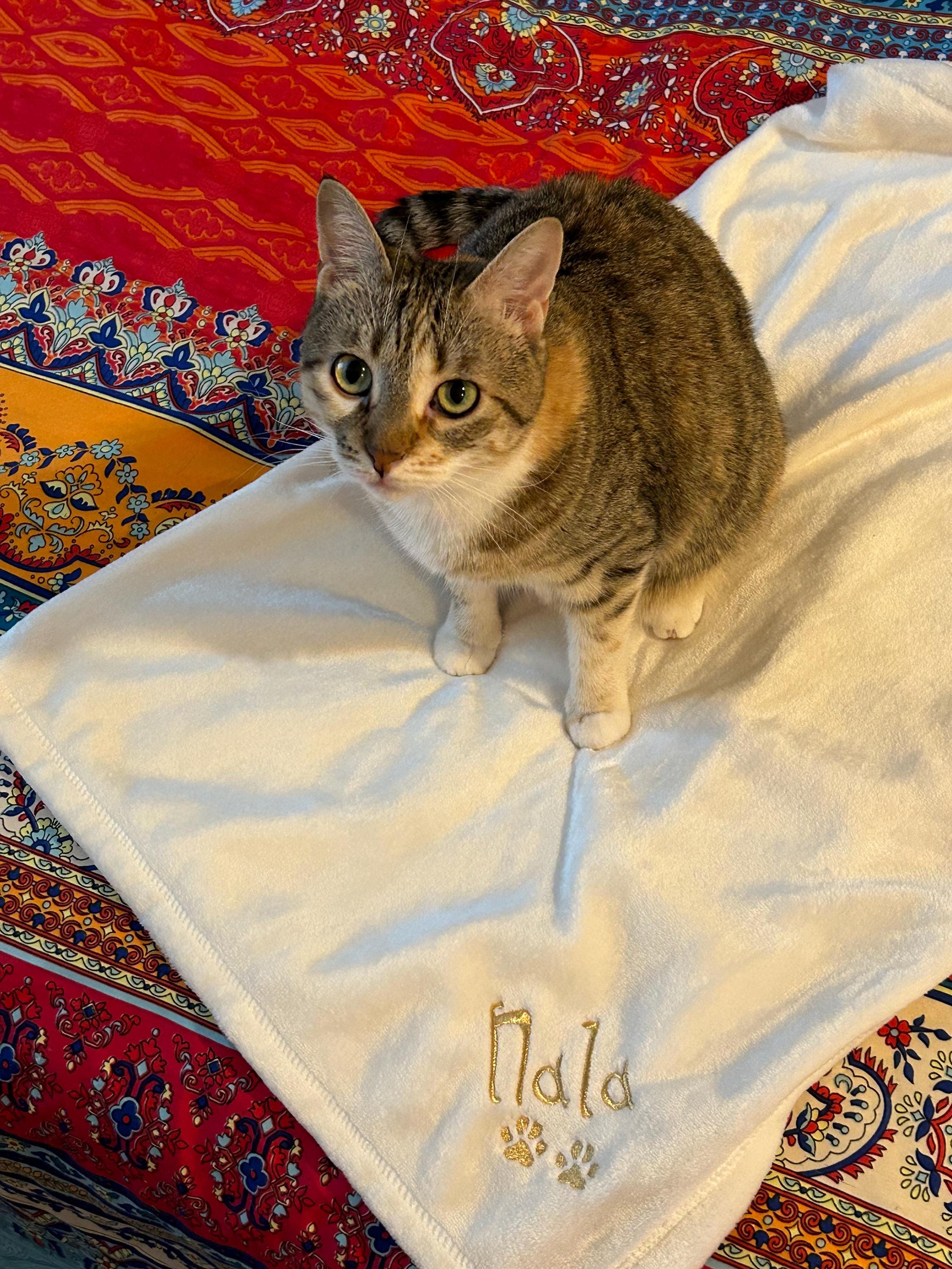 Personalized Soft Blanket for Pet | Blanket with Dogs Name | Blanket with Cats Name Custom Embroidered Blanket for Dog, Cat, with Paw Prints