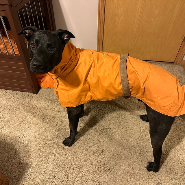 NORMANDIE Rain Coat (made to Measure) - Etsy