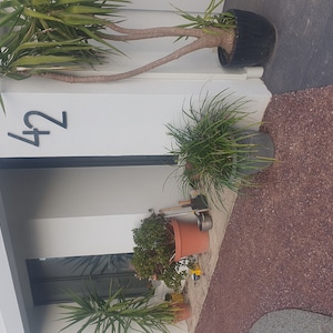 Richard added a photo of their purchase