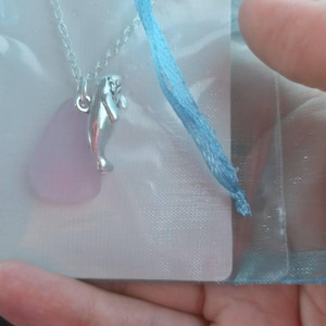 Grace added a photo of their purchase