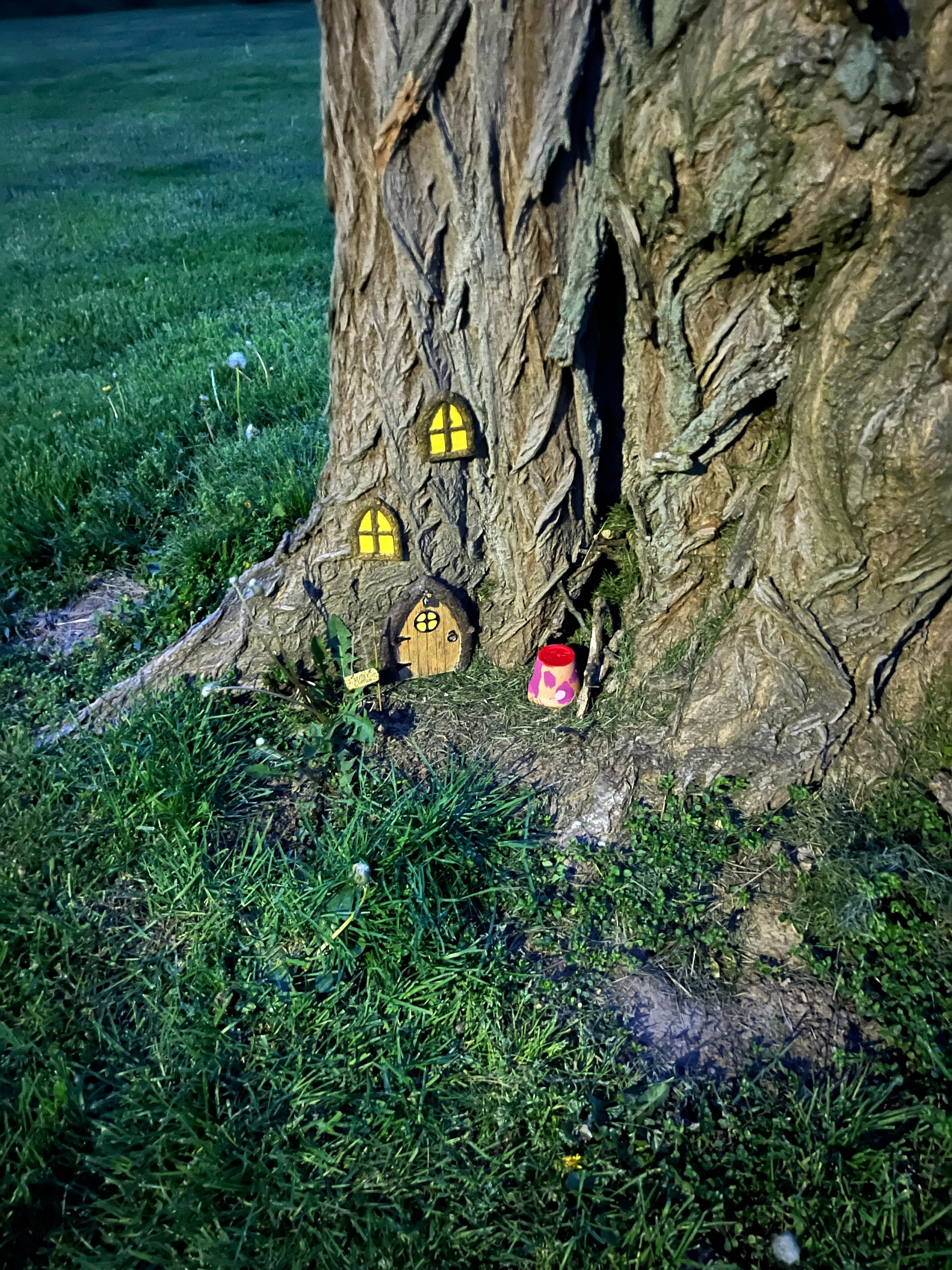 Fairy Door and Windows for Trees Glow in The Dark - Fairy Tree Door- fairy garden- Fairy house - Fairy door for trees- gnome door