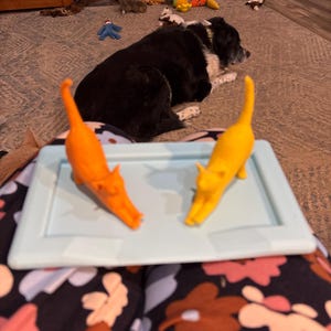 Cindy ha aggiunto una foto del proprio acquisto