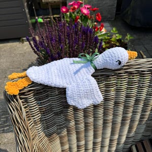 Laura added a photo of their purchase