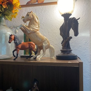 Skyler added a photo of their purchase