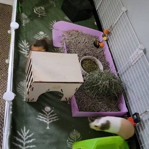 Melton added a photo of their purchase