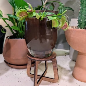 Lian added a photo of their purchase