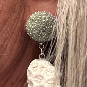 Donna さんが購入した商品の写真を追加しました