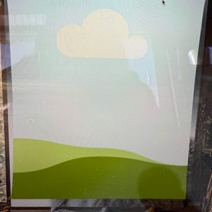 Birch heeft een foto van de aankoop toegevoegd