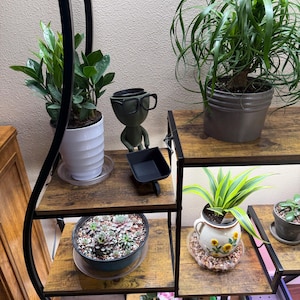 LaLaunie added a photo of their purchase
