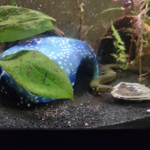 Alexandra added a photo of their purchase