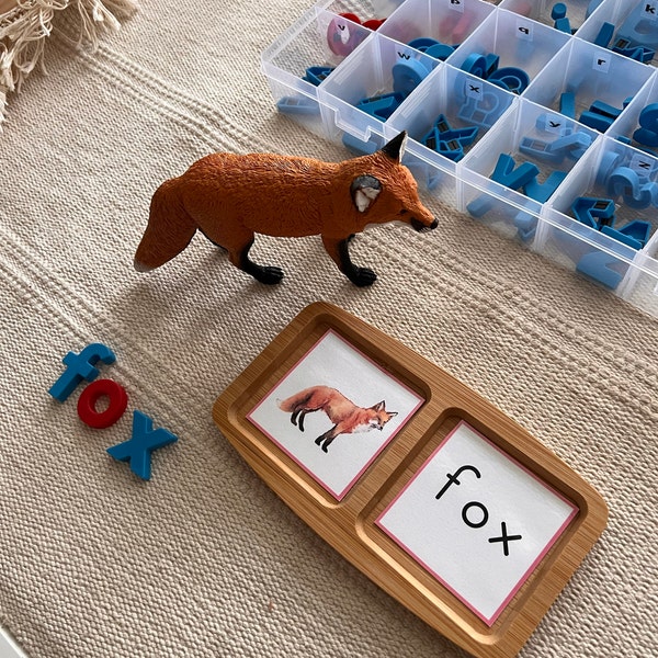 Montessori Printable CVC Word and Picture Matching Activity. Pink ...