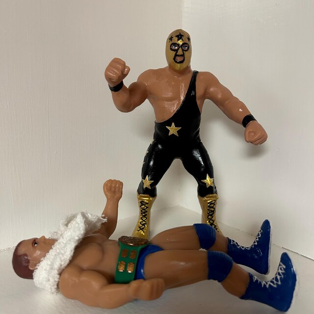 The Masked Superstar WWF LJN Inspired XOX Custom Rubber Type Full