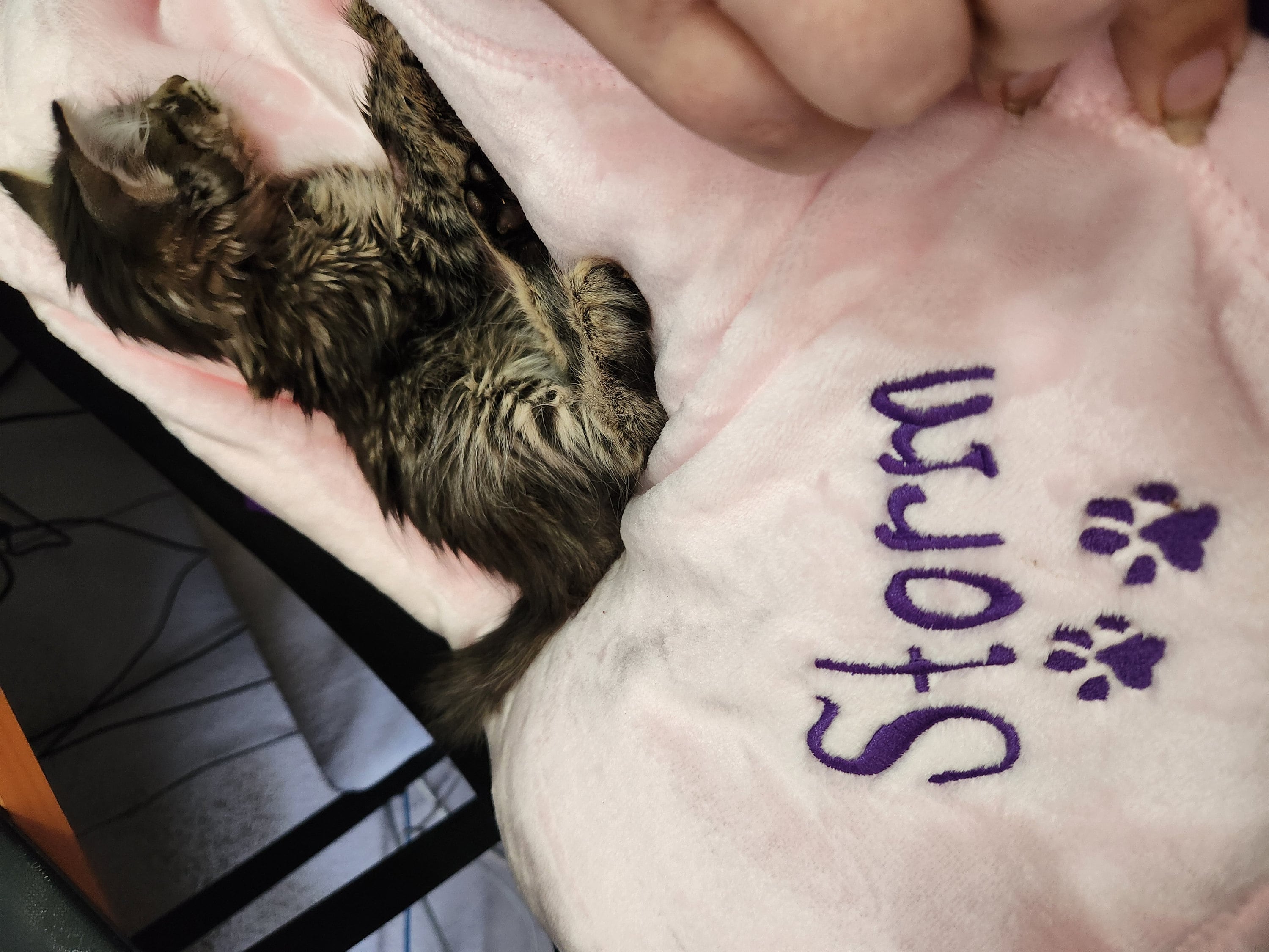 Personalized Soft Blanket for Pet | Blanket with Dogs Name | Blanket with Cats Name Custom Embroidered Blanket for Dog, Cat, with Paw Prints