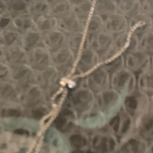Jody added a photo of their purchase