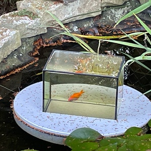 Flying-aquarium-oval "basic" 1200 Foggy Gray the Floating Pond Aquarium Made in Berlin Koi Pond Garden Decoration Garden Pond Pond Art - Etsy Flying-aquarium-oval "basic" 1200 Foggy Gray the Floating Pond Aquarium Made in Berlin Koi Pond Garden Decoration Garden Pond Pond Art - Etsy