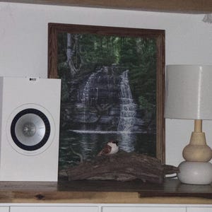 Deya added a photo of their purchase