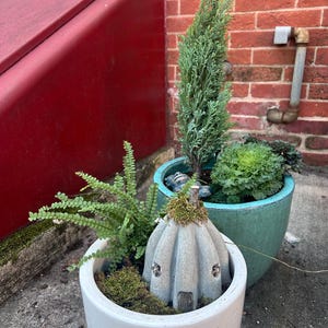 Sylvia added a photo of their purchase