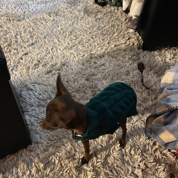 XXS Dog Sweater, XXS Dog Coat, XXS Dog Clothes, Tiny Dog Sweater