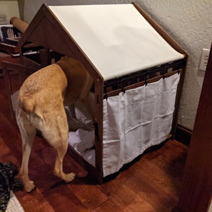 daniel added a photo of their purchase